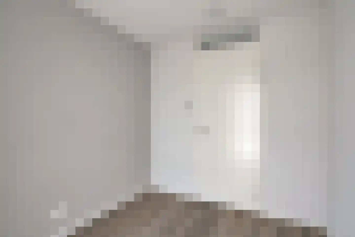 Boerenzwaluw 10 Vlijmen thumbnail 22