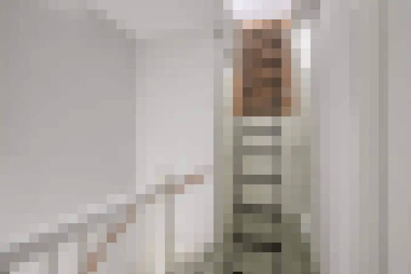 Boerenzwaluw 10 Vlijmen thumbnail 23
