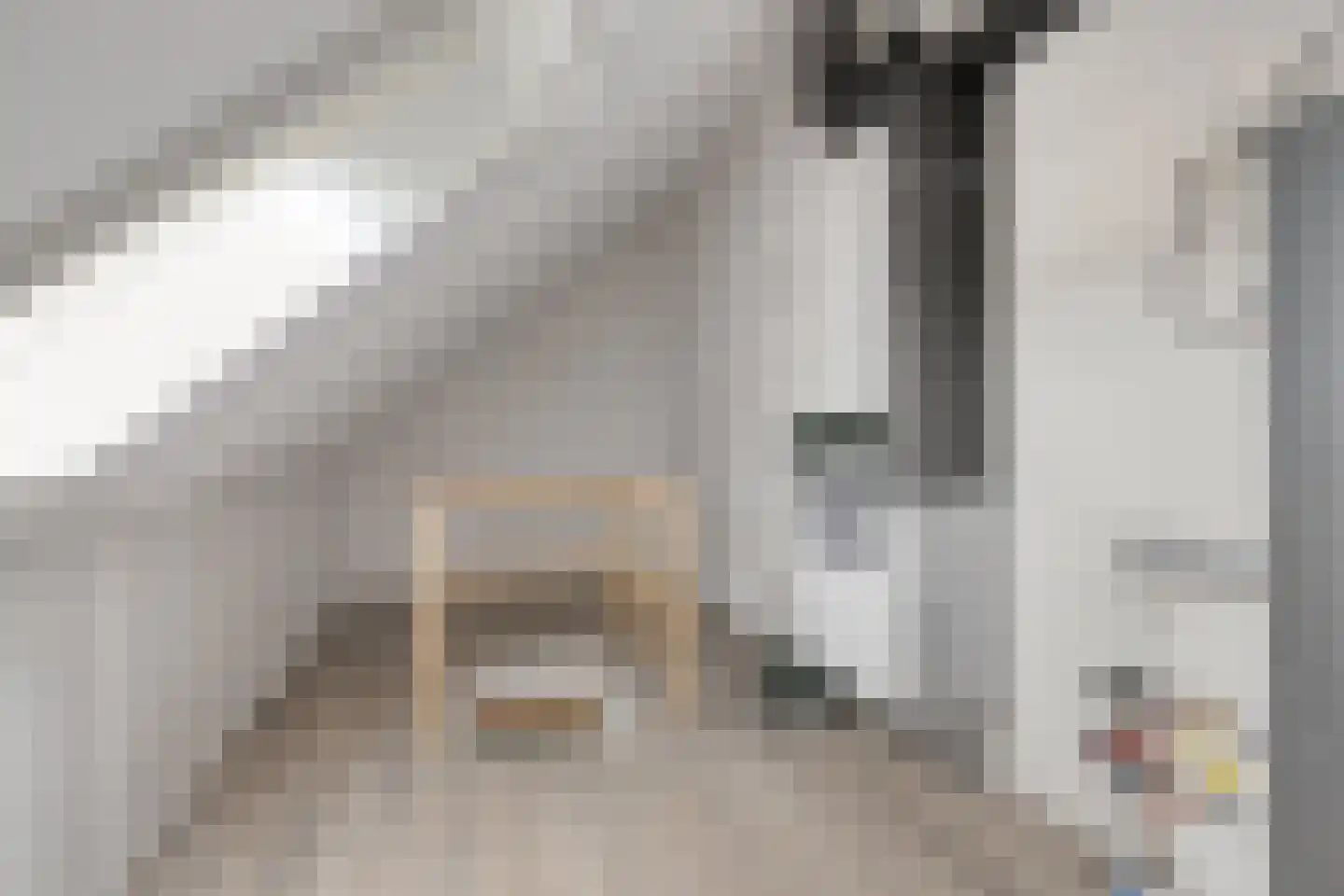 Boerenzwaluw 10 Vlijmen thumbnail 24