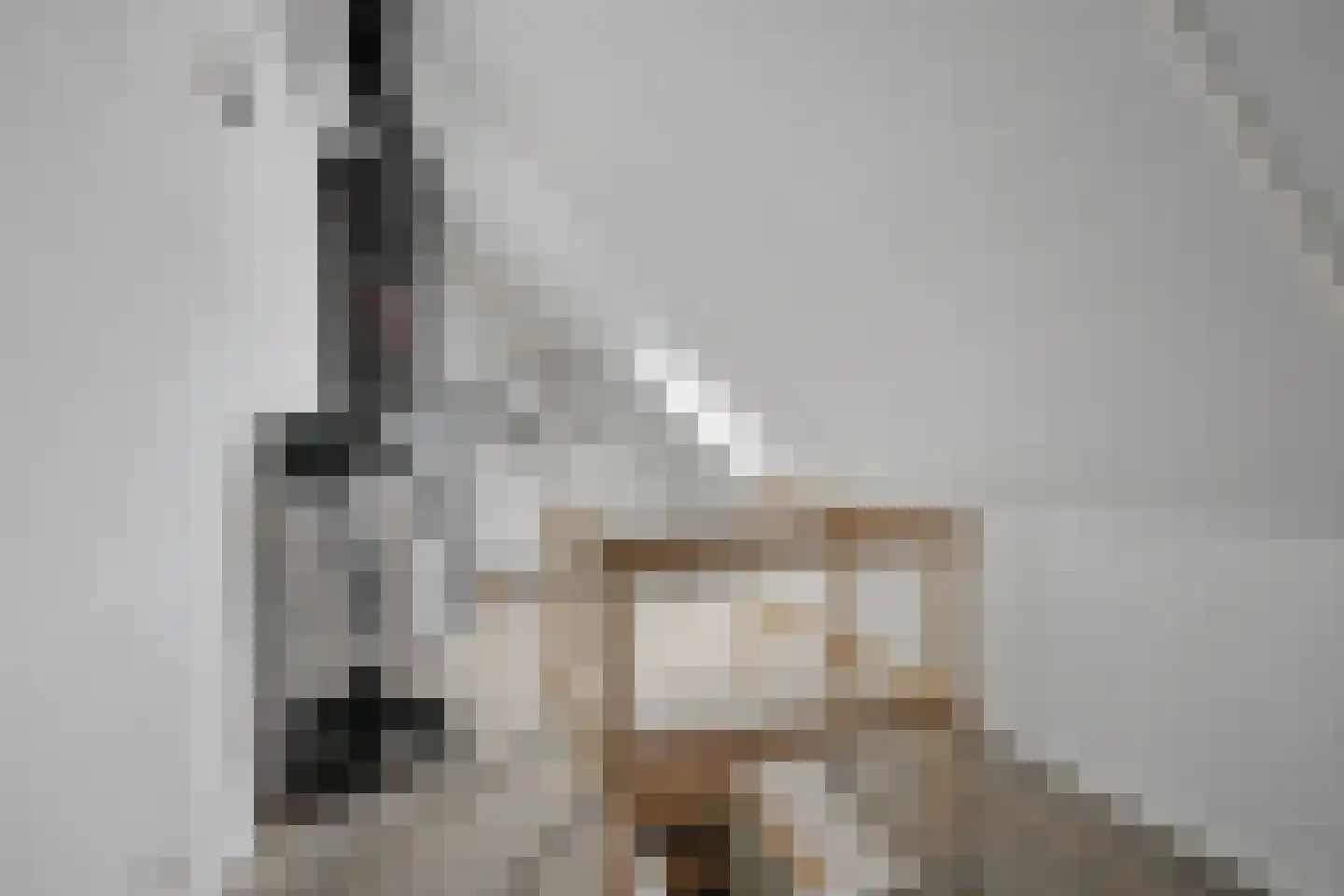 Boerenzwaluw 10 Vlijmen thumbnail 25