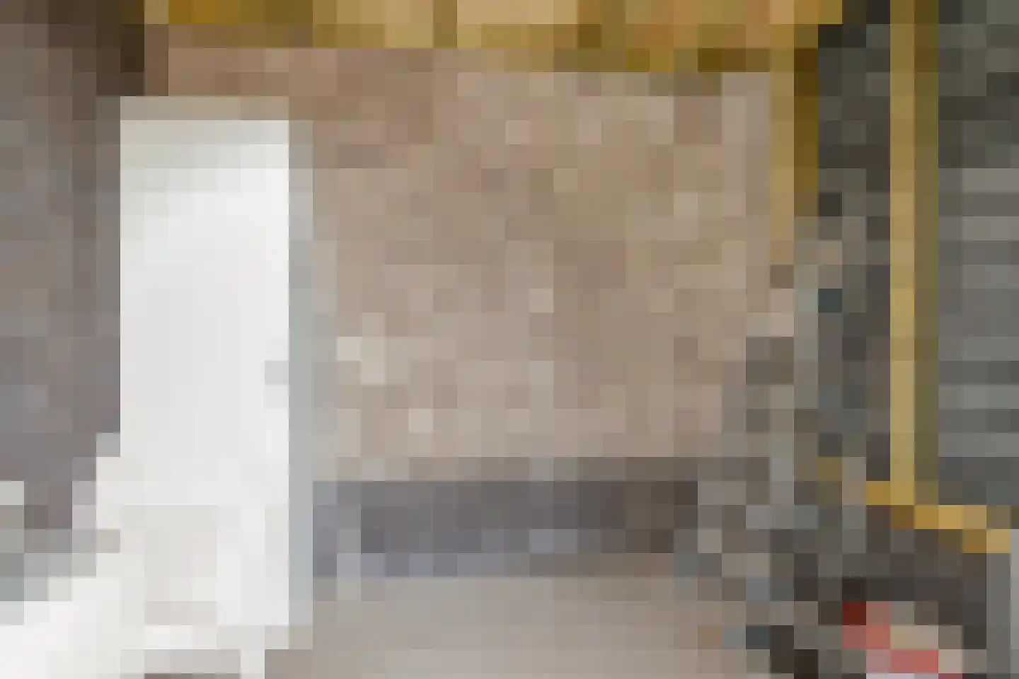 Boerenzwaluw 10 Vlijmen thumbnail 27