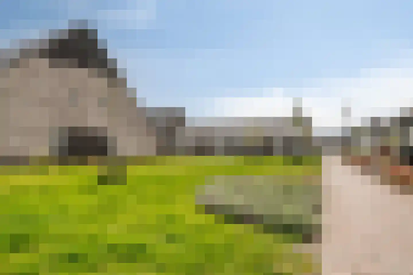 Boerenzwaluw 10 Vlijmen thumbnail 31