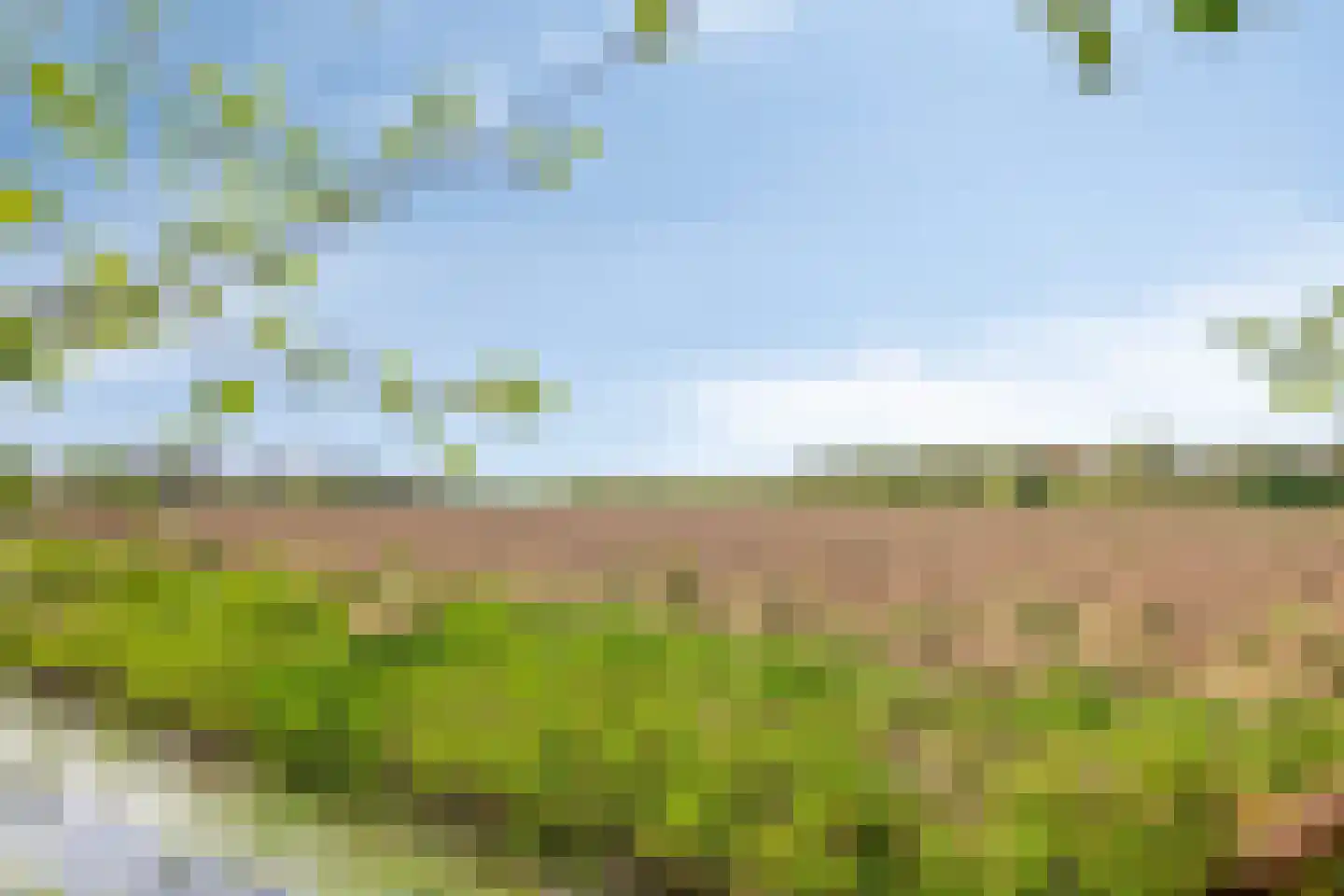 Boerenzwaluw 10 Vlijmen thumbnail 32