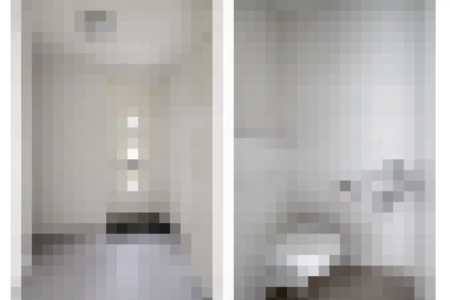 Boerenzwaluw 10 Vlijmen thumbnail 5