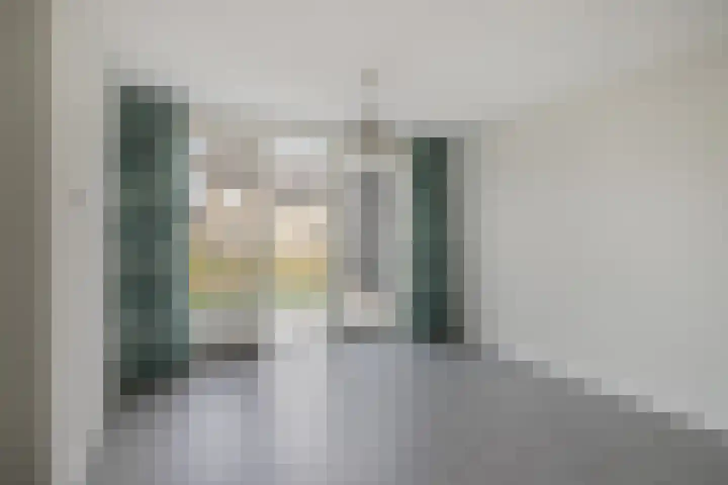 Boerenzwaluw 10 Vlijmen thumbnail 8