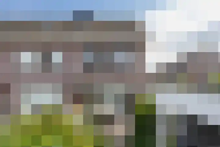Boerenzwaluw 7 Zevenhoven thumbnail 17