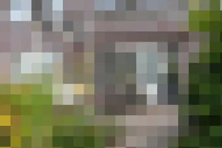 Boerenzwaluw 7 Zevenhoven thumbnail 18