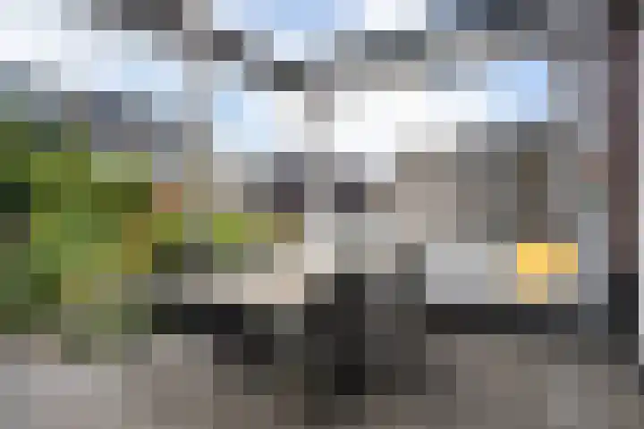 Boerenzwaluw 7 Zevenhoven thumbnail 19
