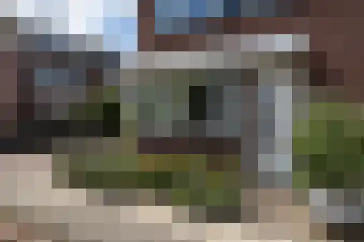 Boerenzwaluw 7 Zevenhoven thumbnail 23