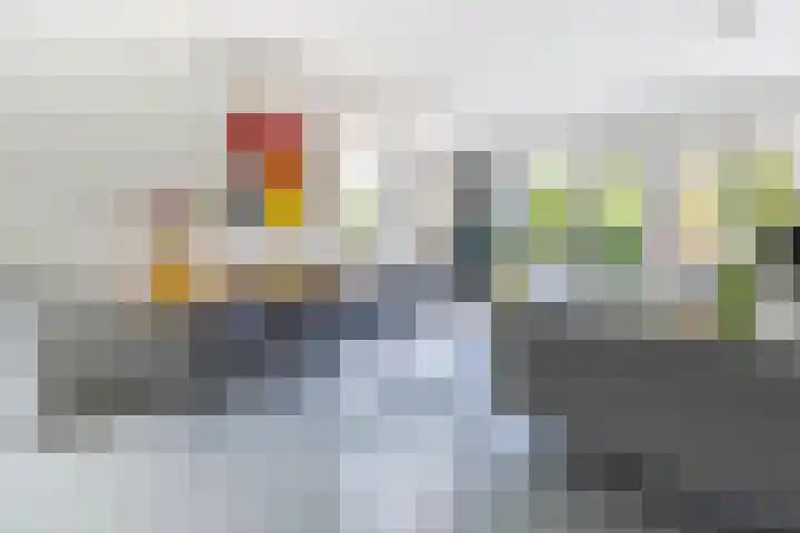 Boerenzwaluw 7 Zevenhoven thumbnail 4