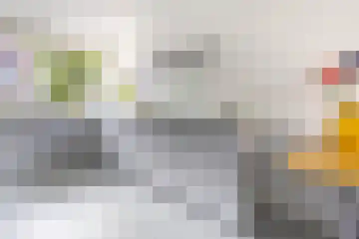 Boerenzwaluw 7 Zevenhoven thumbnail 7