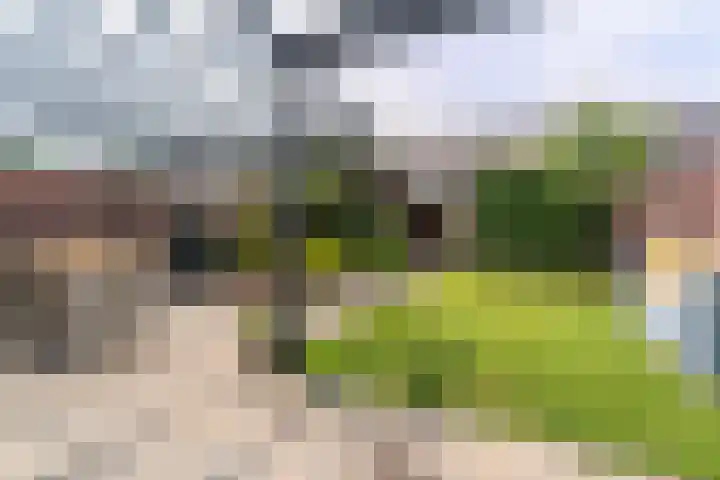 Boerenzwaluwpad 16 Hoef en Haag thumbnail 34