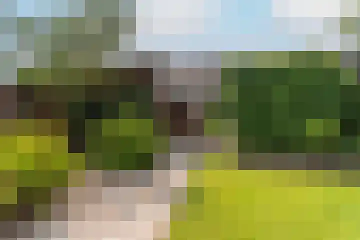 Boerenzwaluwpad 16 Hoef en Haag thumbnail 35