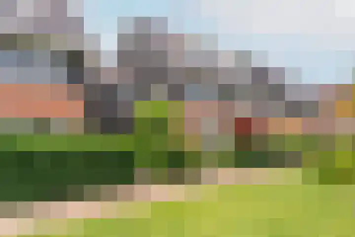 Boerenzwaluwpad 16 Hoef en Haag thumbnail 41