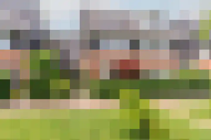 Boerenzwaluwpad 16 Hoef en Haag thumbnail 51