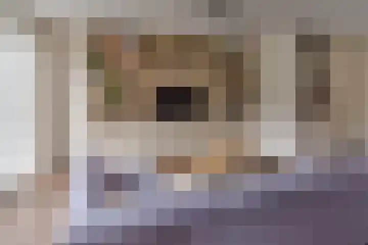 Boerenzwaluwpad 16 Hoef en Haag thumbnail 7