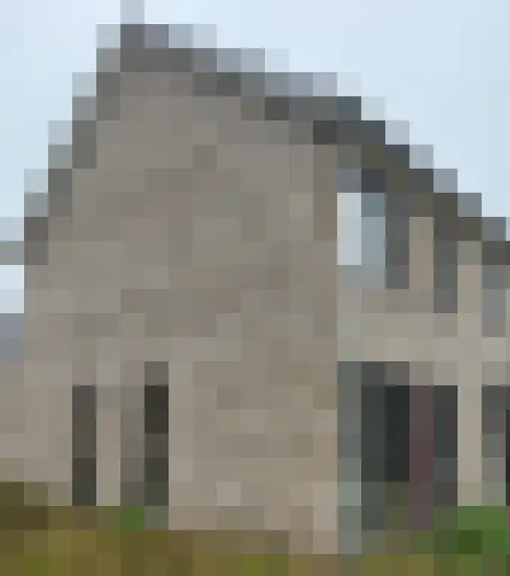 Boerenzwaluwveld 29 Beneden-Leeuwen thumbnail 4