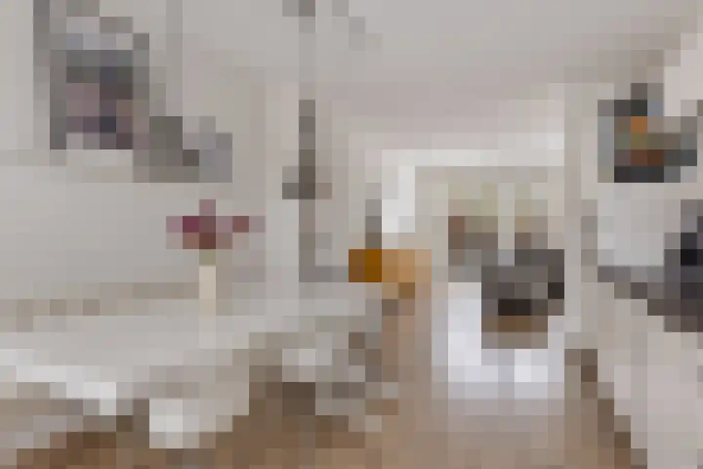 Boeresingel 15 Joure thumbnail 15