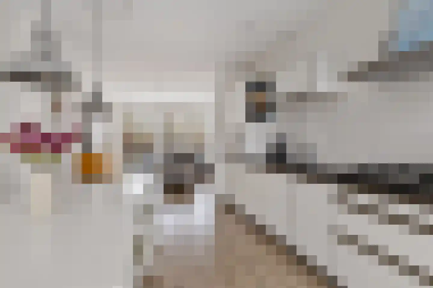 Boeresingel 15 Joure thumbnail 16