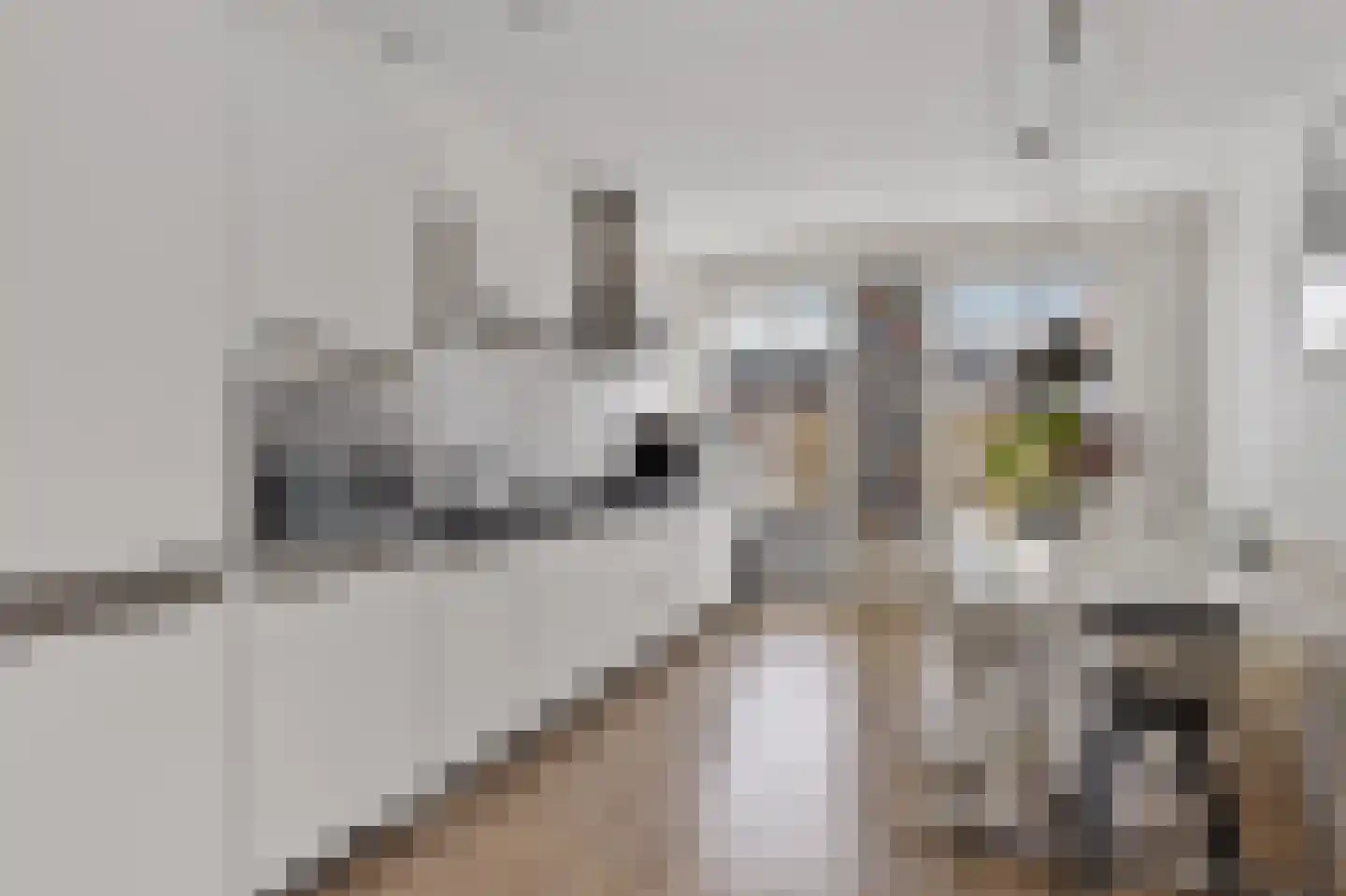 Boeresingel 15 Joure thumbnail 17