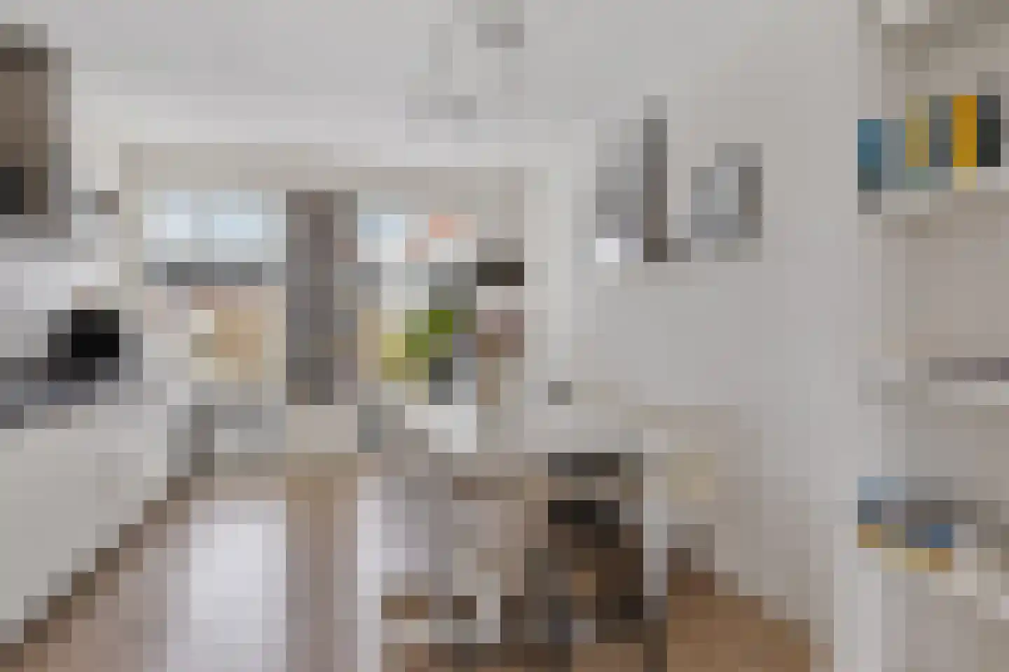 Boeresingel 15 Joure thumbnail 18