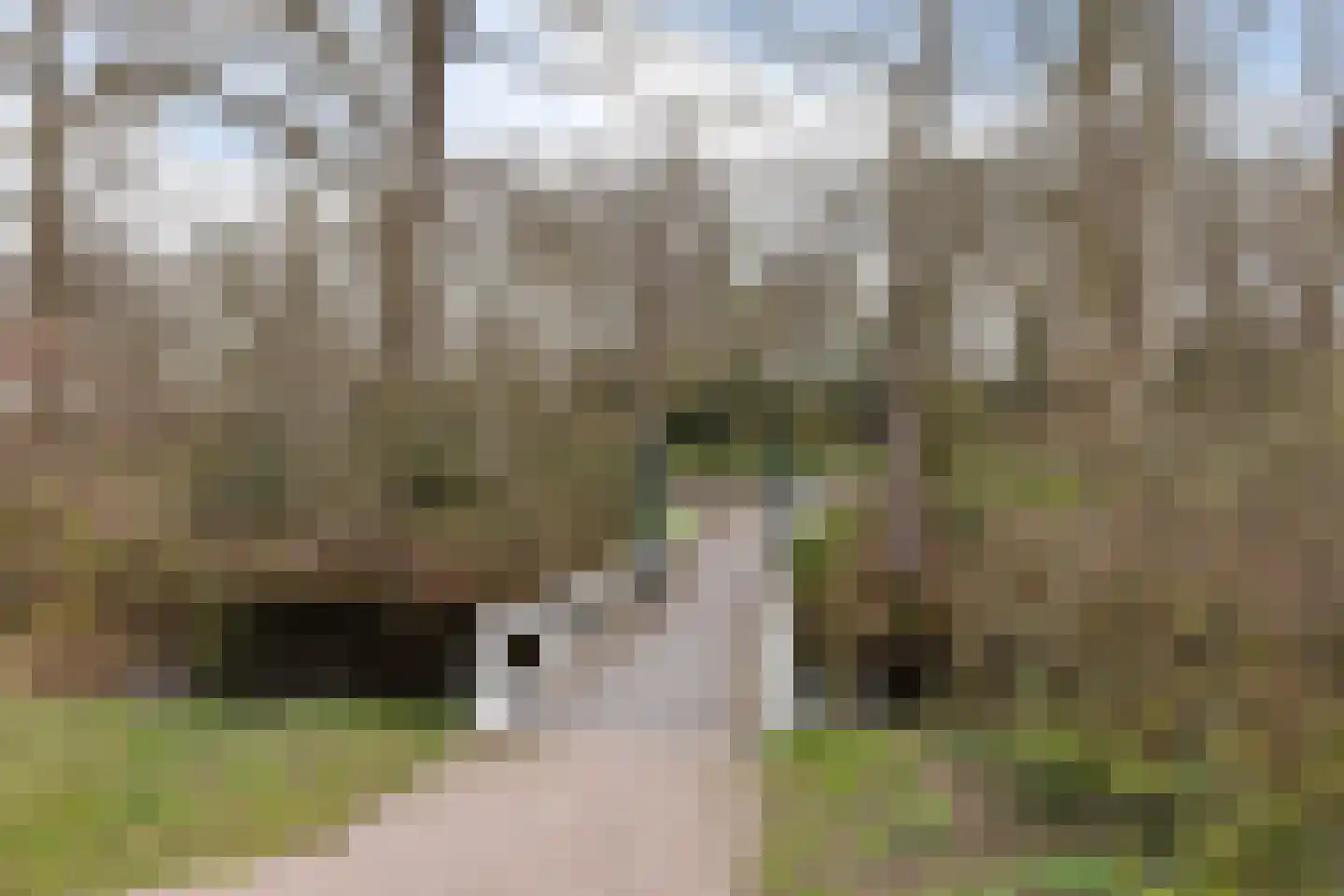 Boeresingel 15 Joure thumbnail 46
