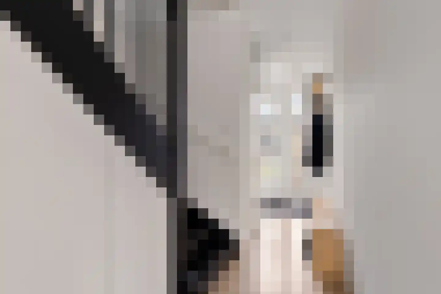 Boeresingel 15 Joure thumbnail 9