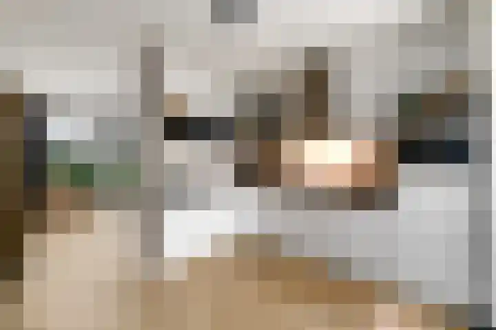 Boeresingel 39 Joure thumbnail 10