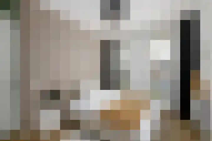 Boeresingel 39 Joure thumbnail 18
