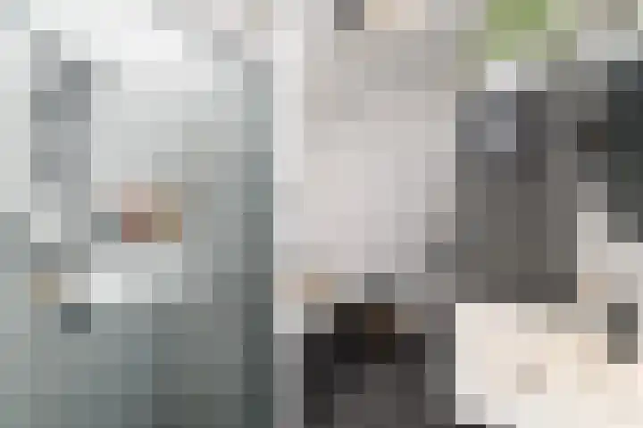 Boeresingel 39 Joure thumbnail 21