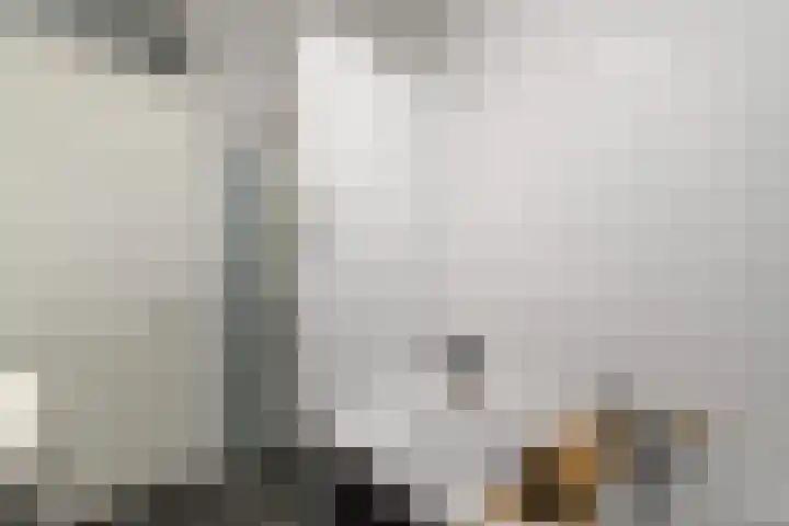 Boeresingel 39 Joure thumbnail 23