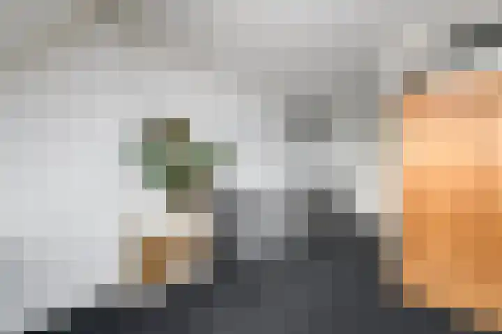 Boeresingel 39 Joure thumbnail 28