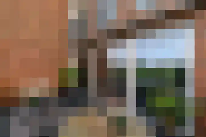 Boeresingel 39 Joure thumbnail 29