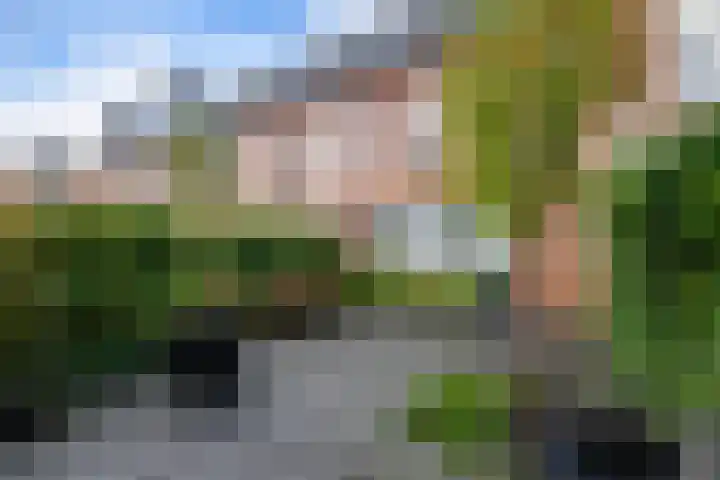 Boeresingel 39 Joure thumbnail 31