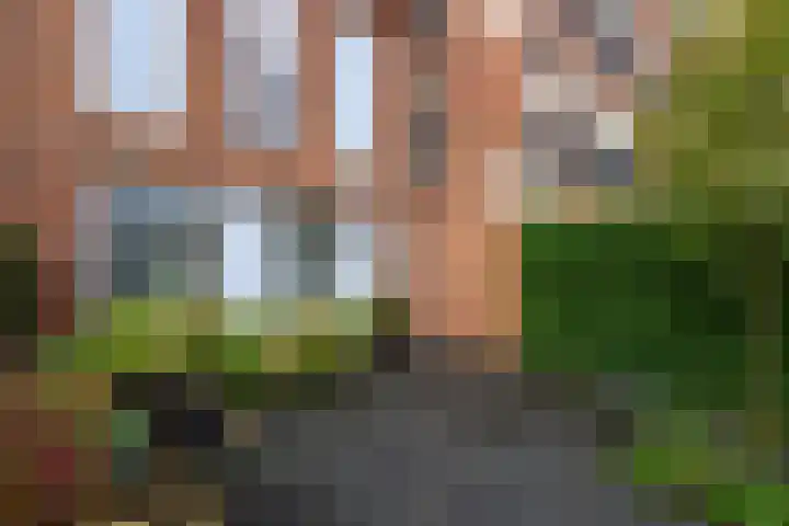 Boeresingel 39 Joure thumbnail 32