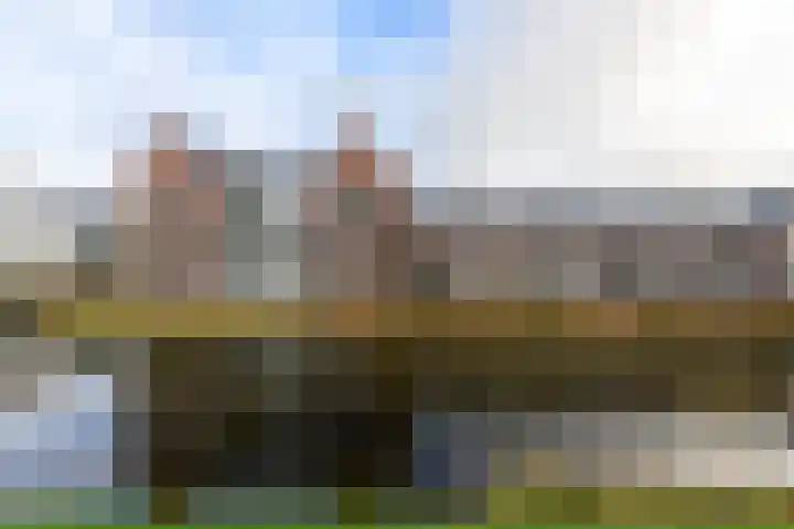 Boeresingel 39 Joure thumbnail 38