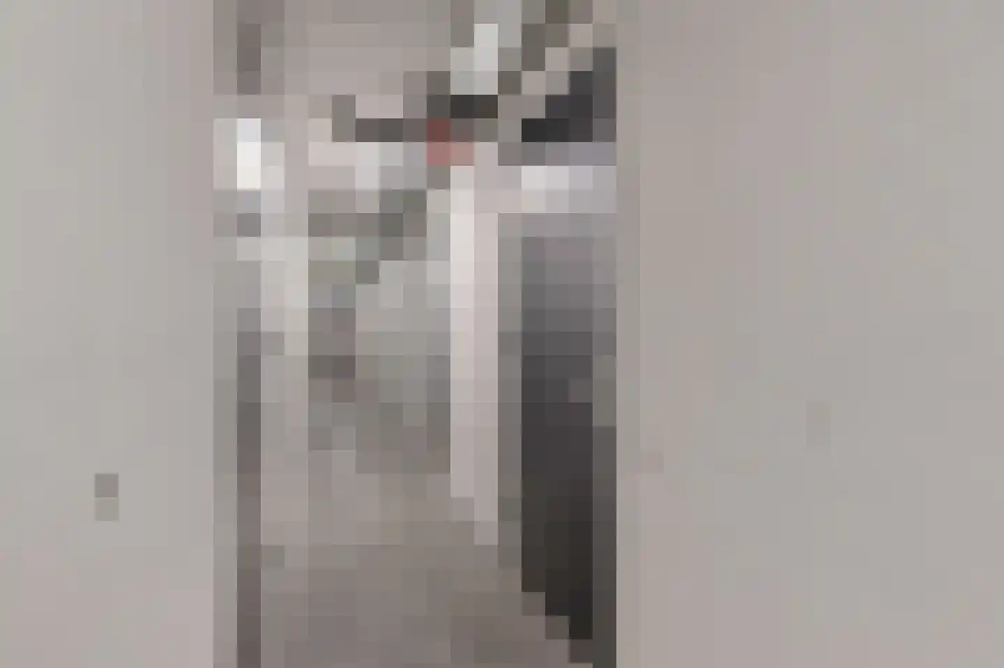 Boeresingel 54 Joure thumbnail 37