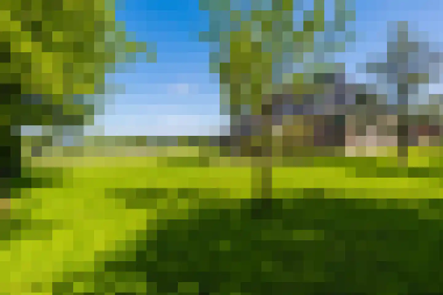 Boerestreek 1 Lippenhuizen thumbnail 19