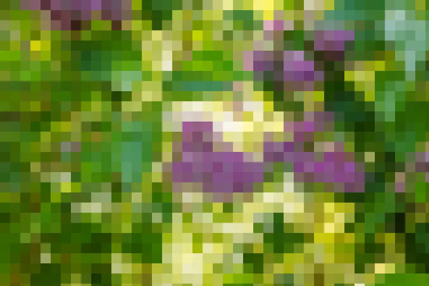 Boerestreek 1 Lippenhuizen thumbnail 20