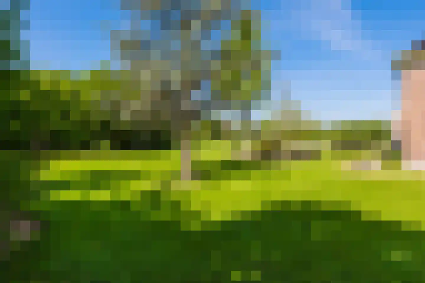 Boerestreek 1 Lippenhuizen thumbnail 21