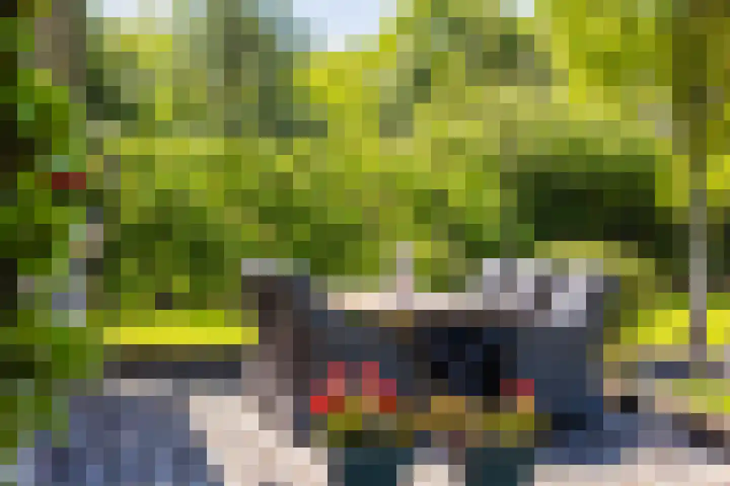 Boerestreek 1 Lippenhuizen thumbnail 22
