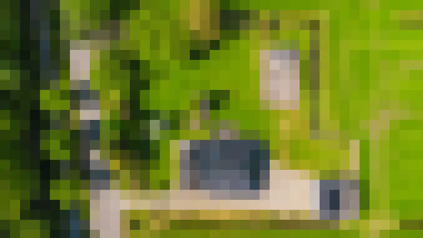 Boerestreek 1 Lippenhuizen thumbnail 23