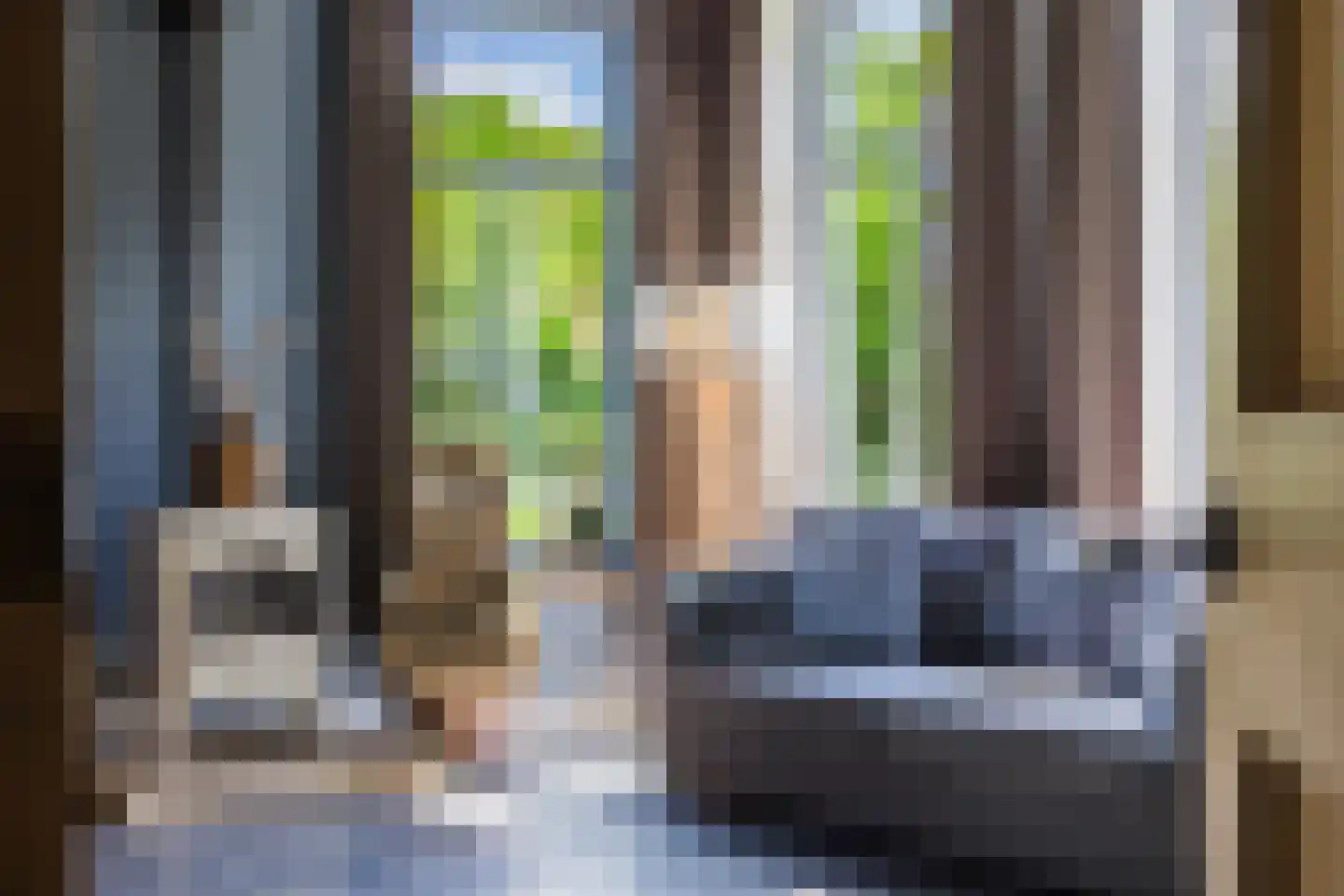 Boerestreek 1 Lippenhuizen thumbnail 35