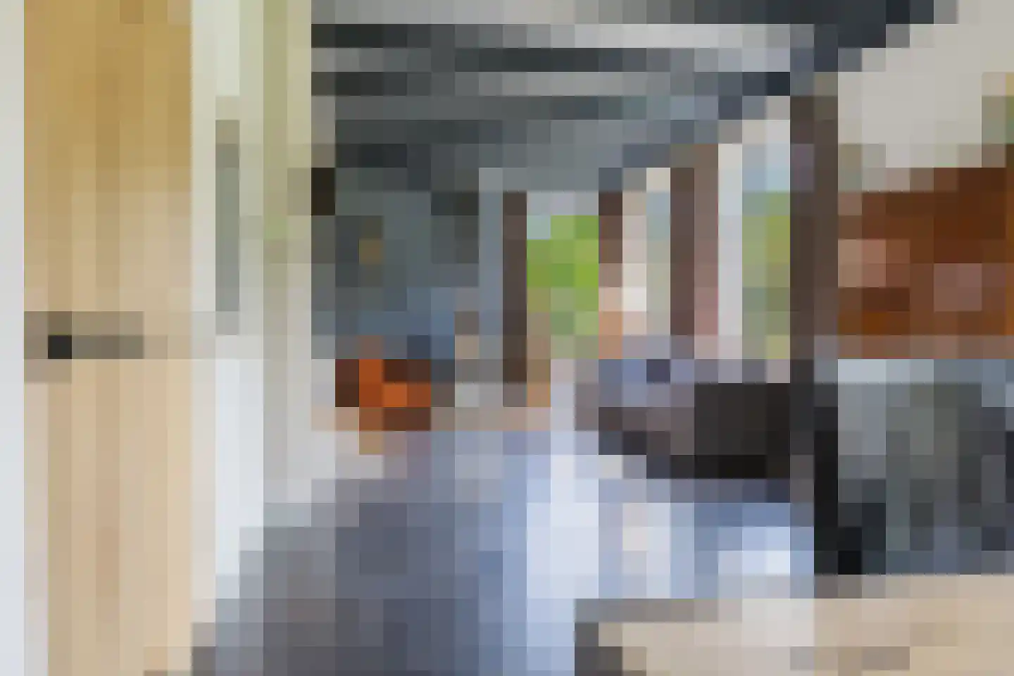 Boerestreek 1 Lippenhuizen thumbnail 36