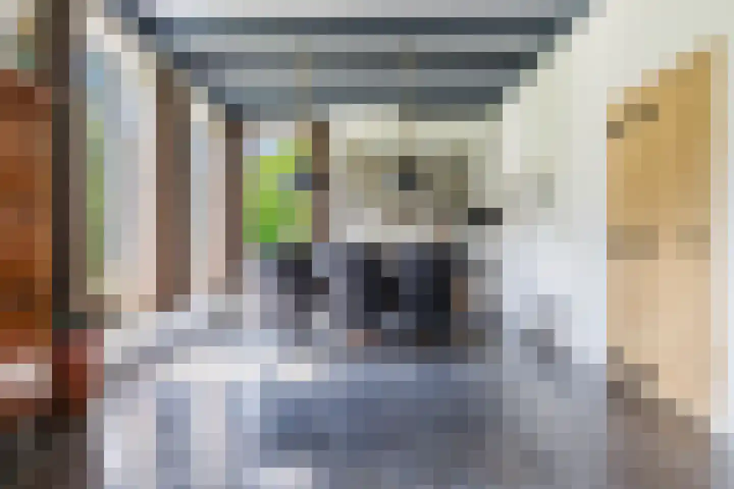 Boerestreek 1 Lippenhuizen thumbnail 37