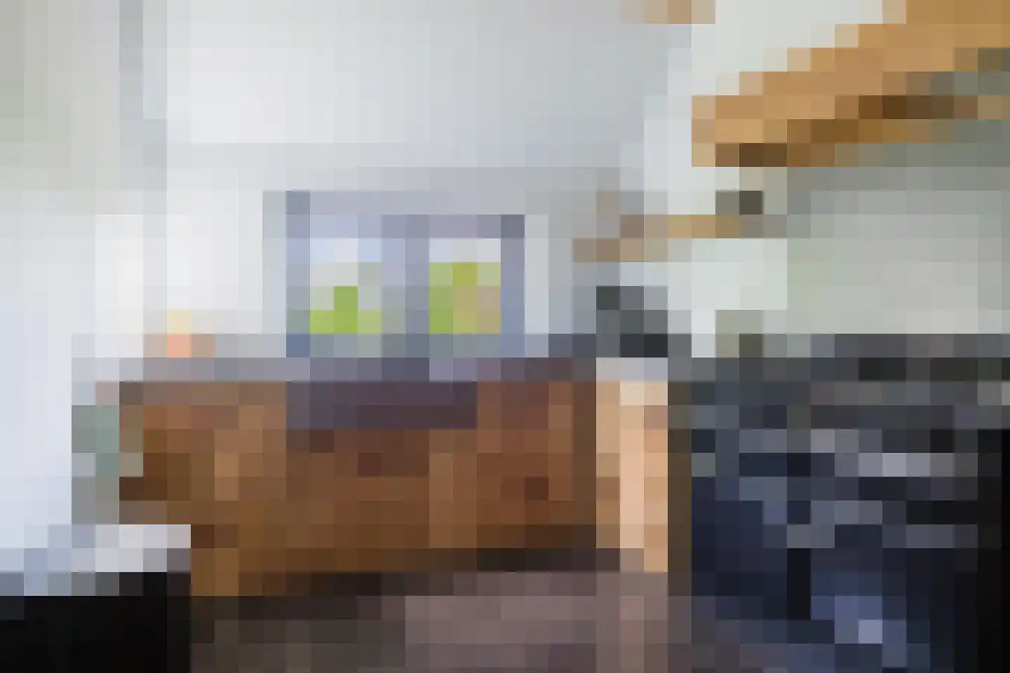 Boerestreek 1 Lippenhuizen thumbnail 4