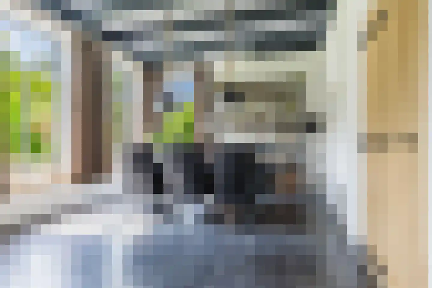 Boerestreek 1 Lippenhuizen thumbnail 40