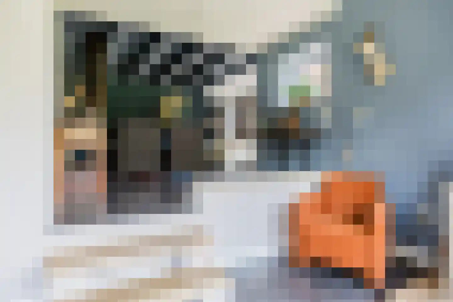 Boerestreek 1 Lippenhuizen thumbnail 42