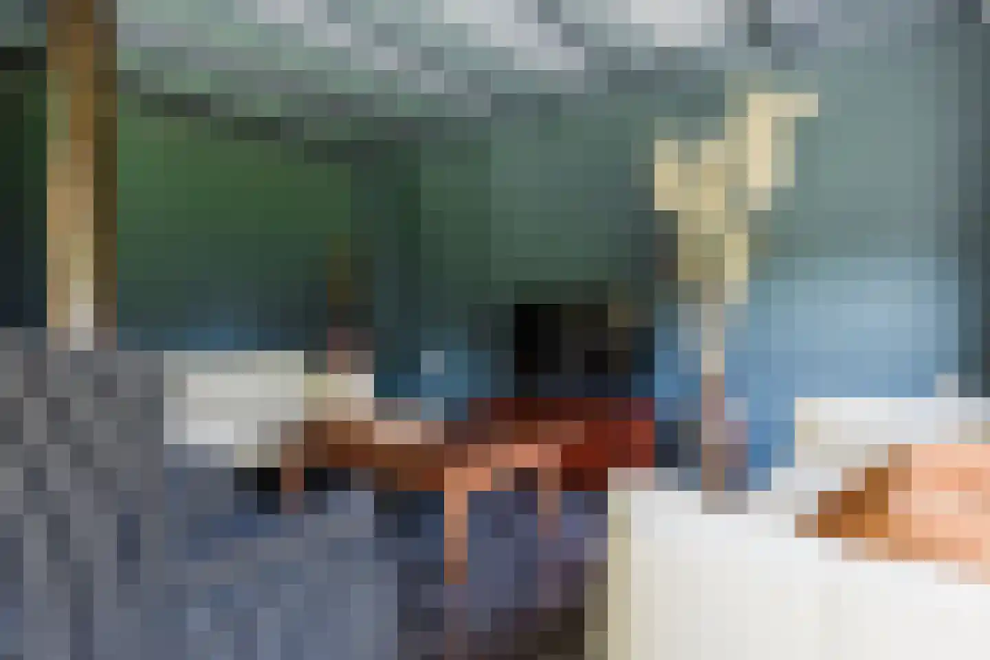 Boerestreek 1 Lippenhuizen thumbnail 44