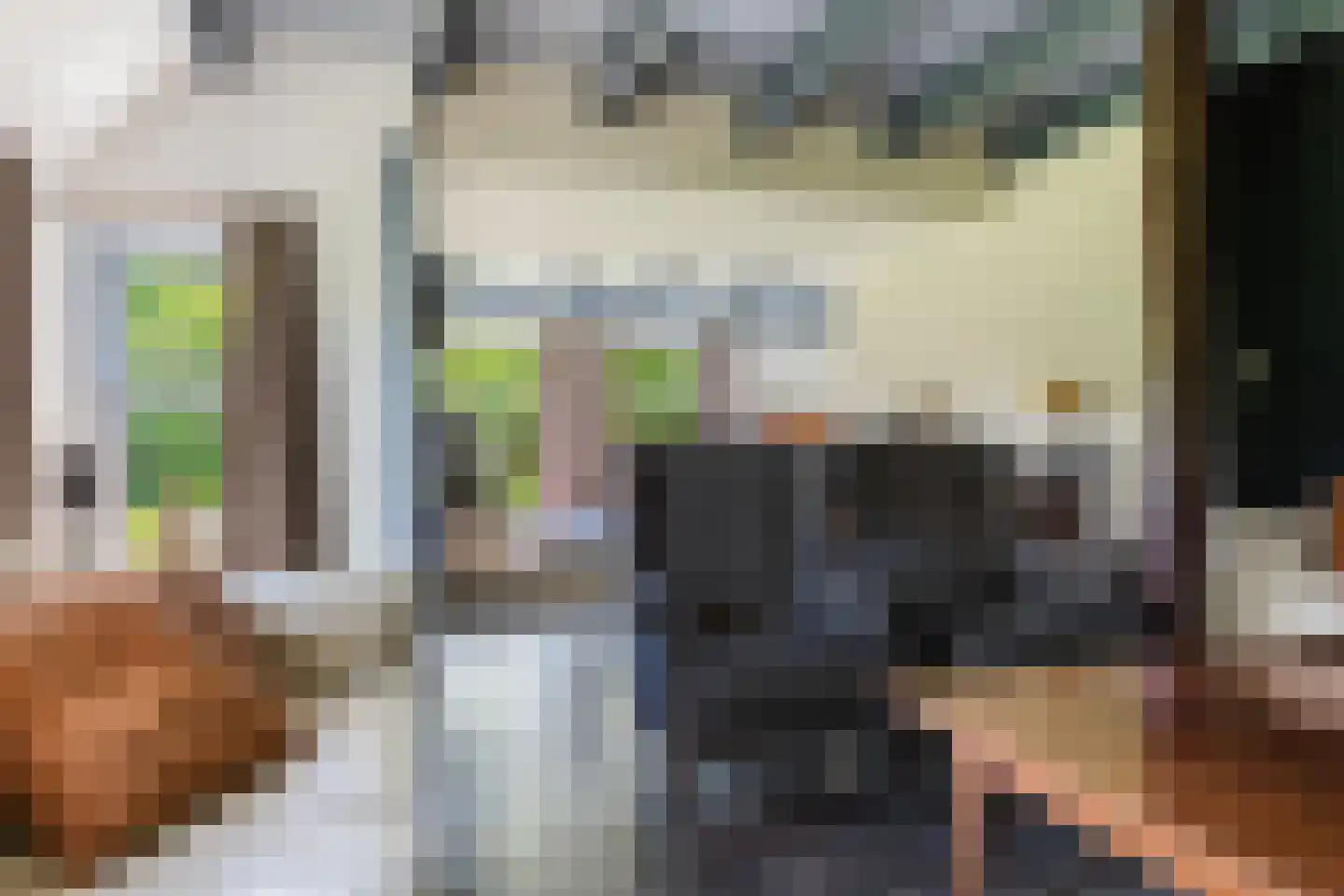 Boerestreek 1 Lippenhuizen thumbnail 45